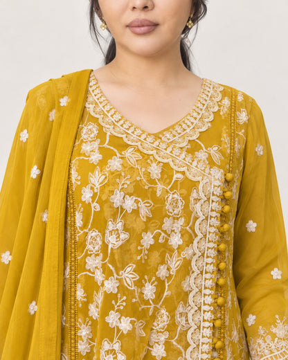 ALAM’S MAHABAT — Mustard Embroidered Chiffon Fustan